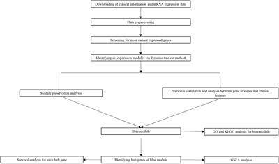 Co-expression Network Analysis Identifies Four Hub Genes Associated With Prognosis in Soft Tissue Sarcoma